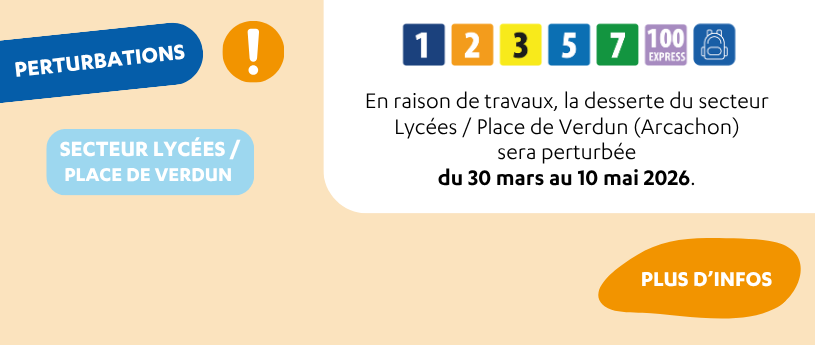 Perturbations Arcachon